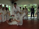 DDK Budo Lehrgang in Hamburg_16