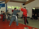 DDK Budo Lehrgang in Hamburg_17