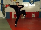 DDK Budo Lehrgang in Hamburg_28