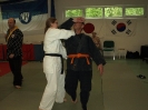 DDK Budo Lehrgang in Hamburg_29