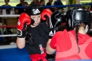 DDK DM 2011 Kickboxen_6