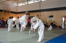 Judo Turnier Shindo_20