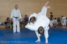 Judo Turnier Shindo_24