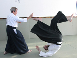 Aikido8